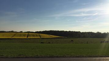 A rural landscape with fields, a road, and a fence.