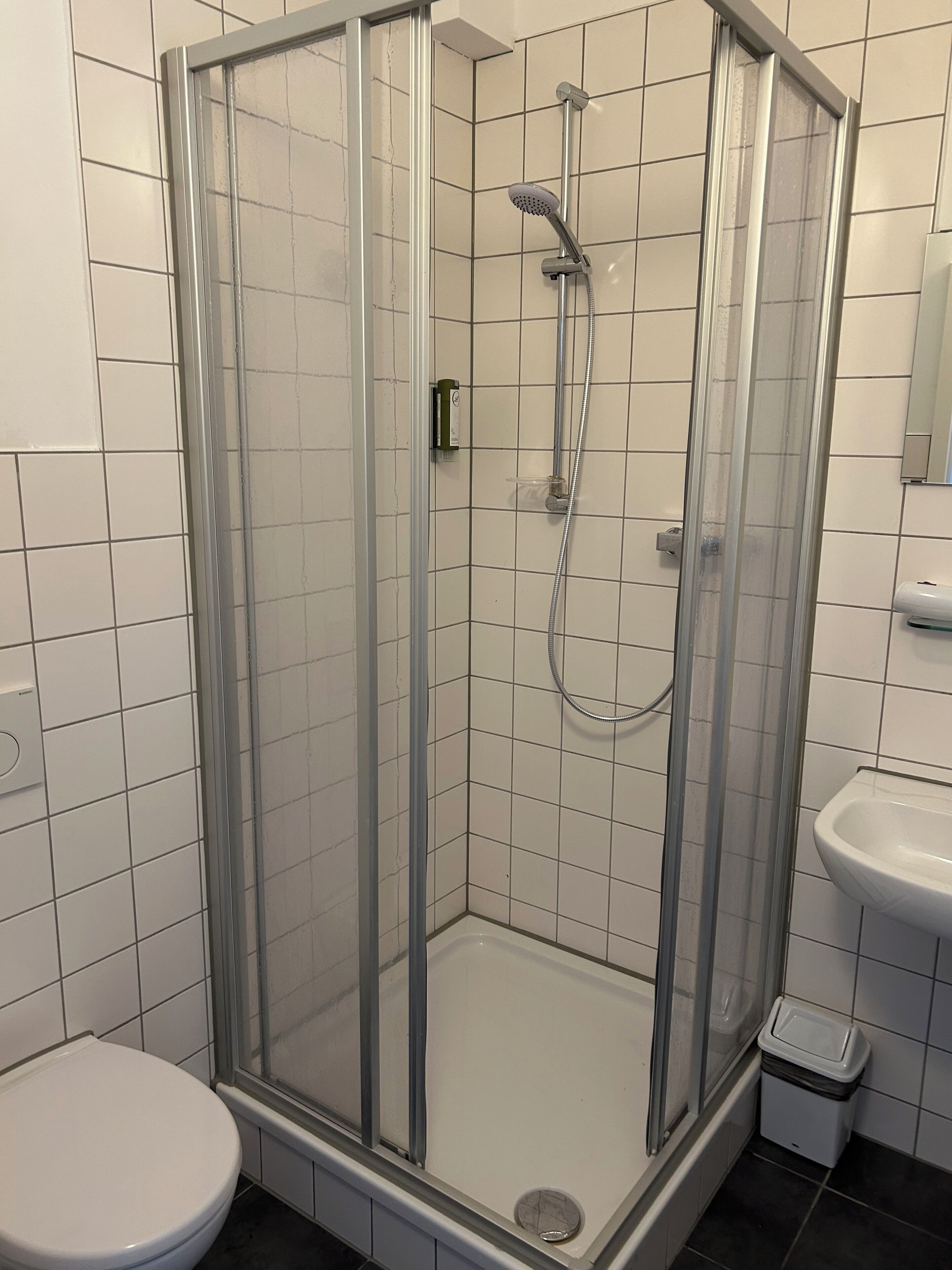 Eine Duschkabine mit Handbrause, eine Toilette und ein Waschbecken mit Spiegel.