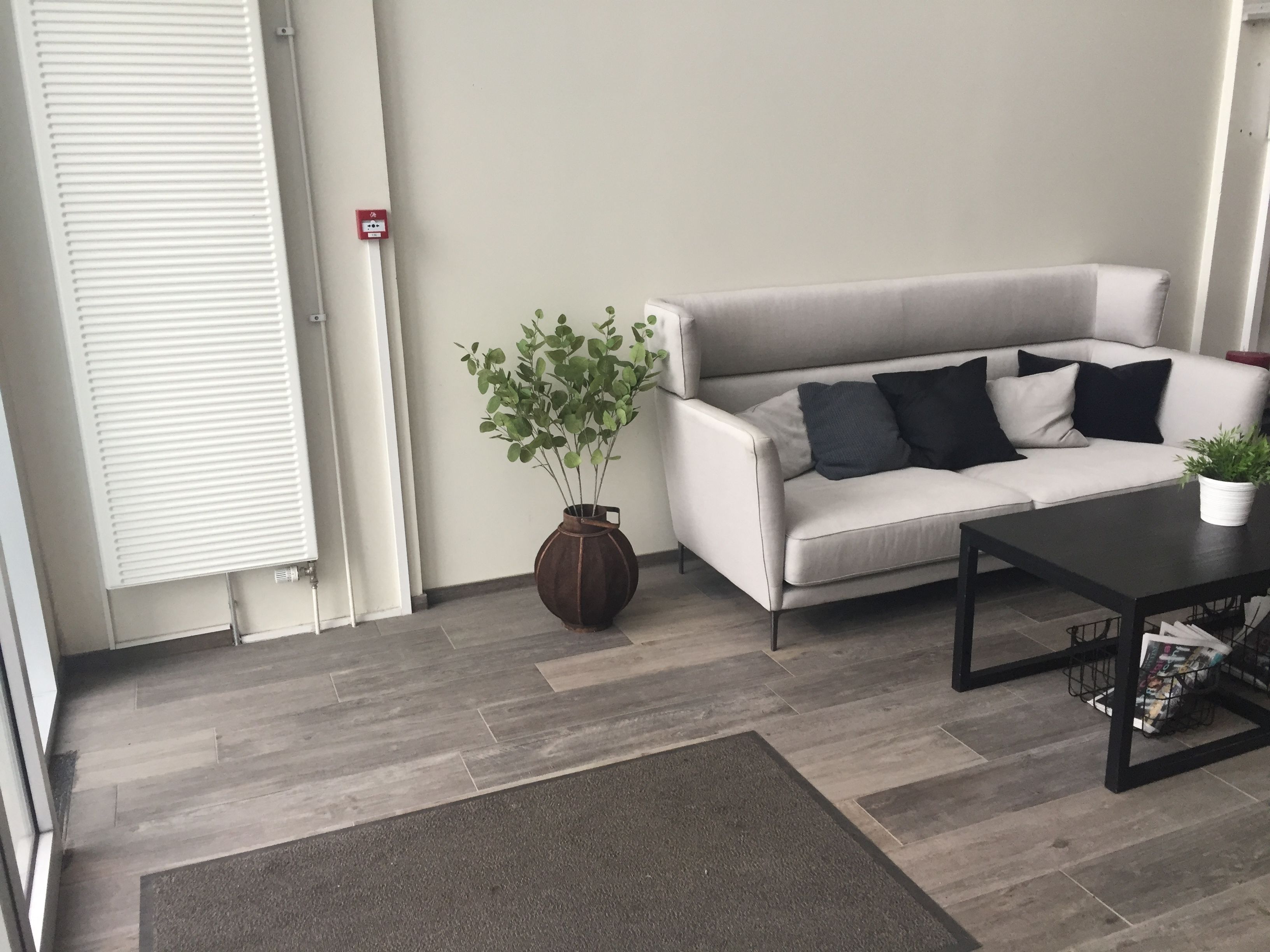 Uma sala de estar moderna com um sofá cinzento, uma mesa de centro e um vaso de planta.