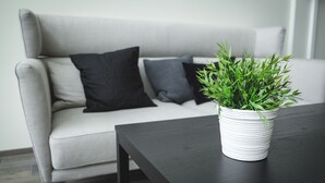 Ein modernes Wohnzimmer mit einem grauen Sofa, schwarzen Kissen und einem weißen Blumentopf auf einem dunklen Holztisch.
