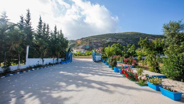 A paved pathway flanked by blue planters with flowers, leading to a gate. - Anastasia Studios (Kefalonia)