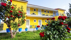 A yellow building with a balcony, potted plants, and red flowers. - Anastasia Studios (Kefalonia)