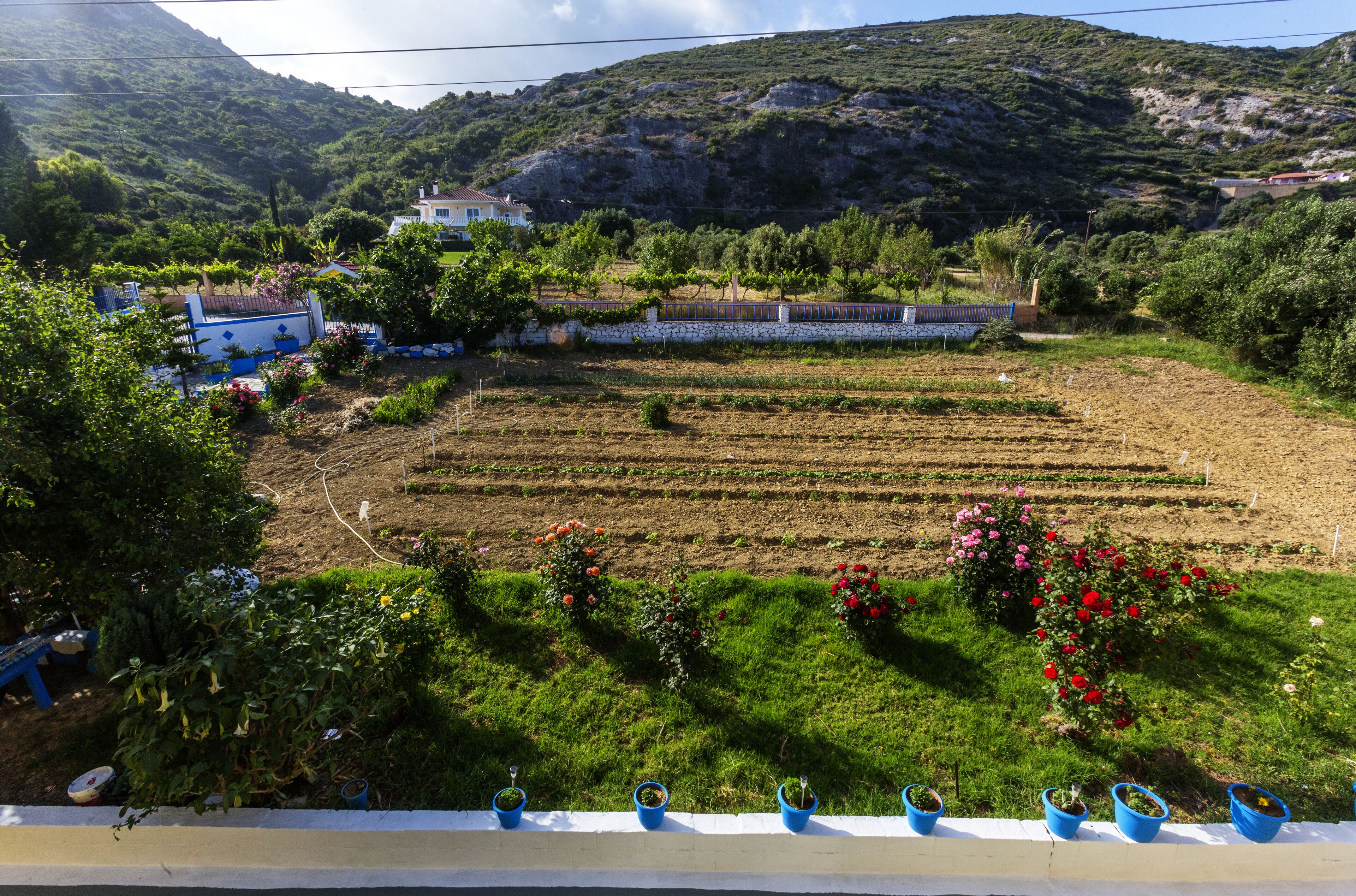 Studio, Gartenblick | Ausblick vom Zimmer