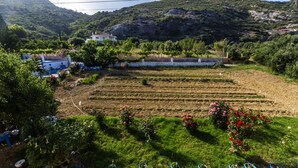 A rural landscape with a field, a stone wall, and a house in the background. - Anastasia Studios (Kefalonia)