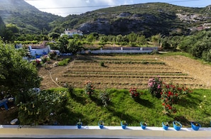 View from room - Anastasia Studios (Kefalonia)