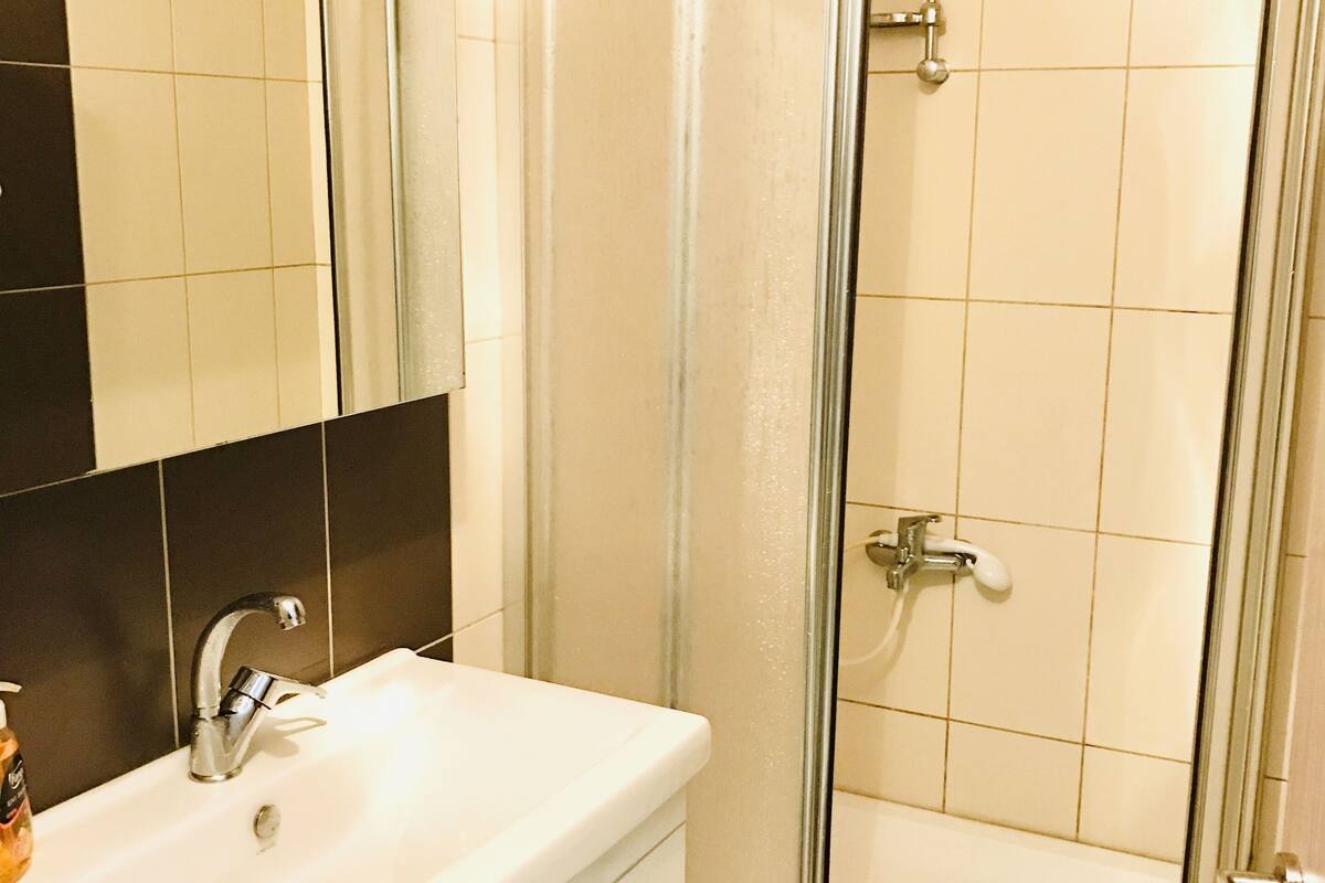 economy suite, 1 bedroom, terrace, city view | bathroom | shower, designer toiletries, hair dryer, slippers