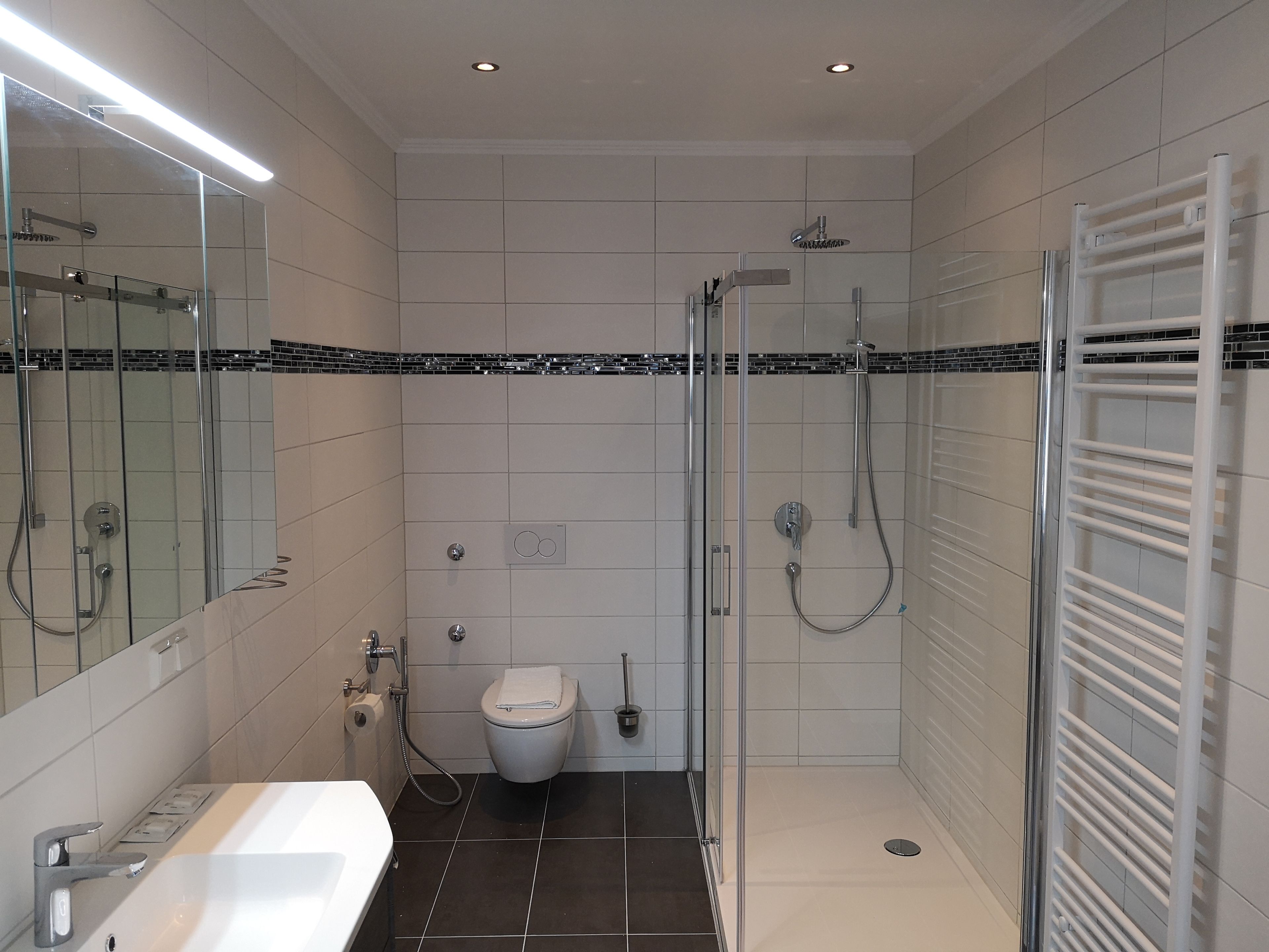 A modern bathroom with a glass-enclosed shower, a toilet, and a sink.