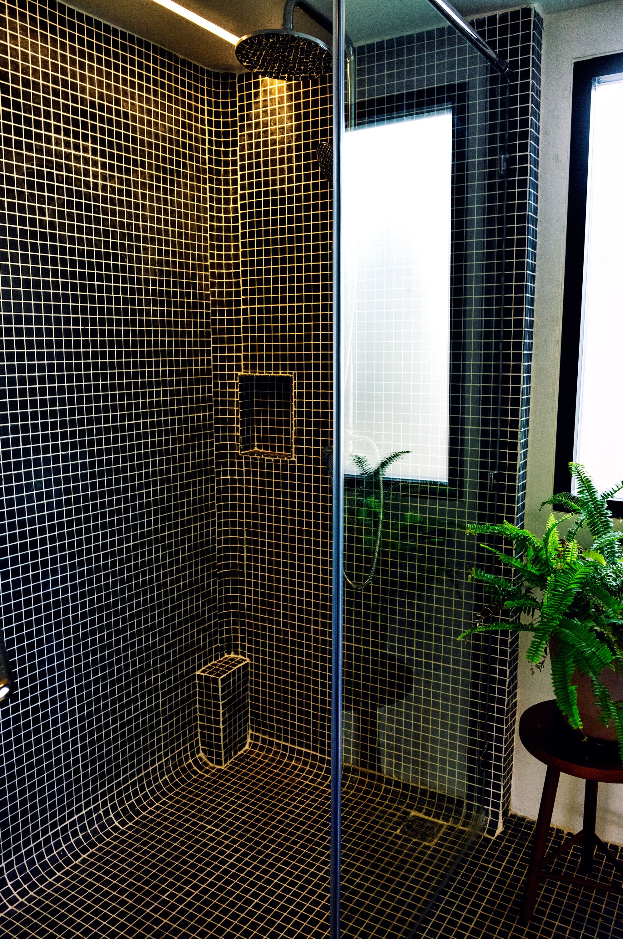A modern bathroom with black tiled walls, a glass shower enclosure, and a potted plant.