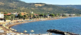 Alterna Koy Evi