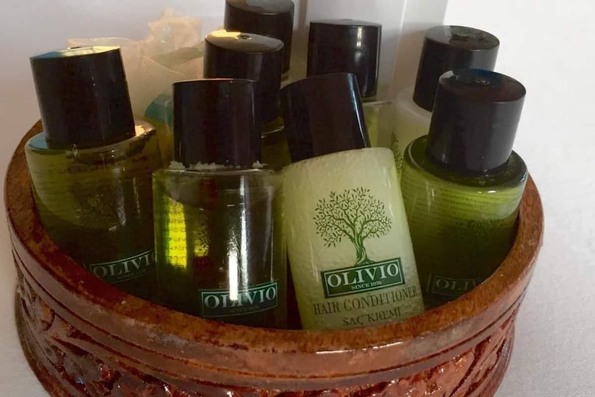 shower, free toiletries, hair dryer, slippers