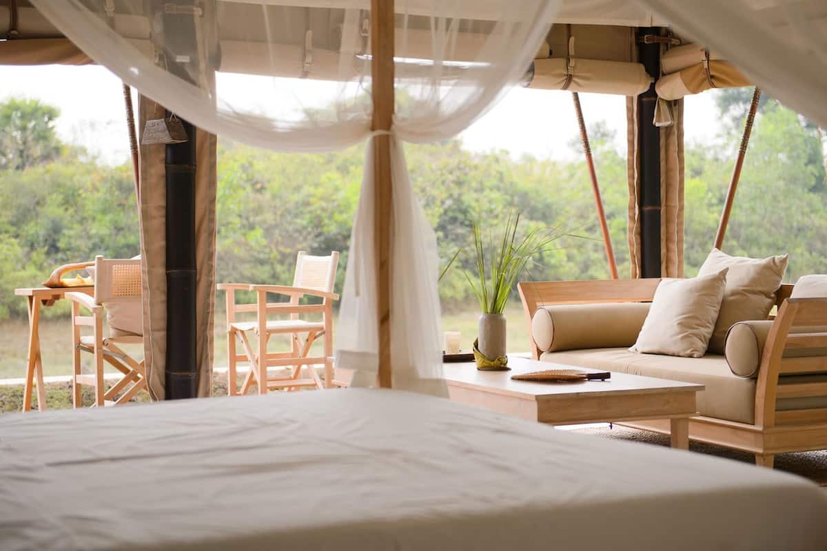 A tent-style room with a bed, a sofa, a chair, and a small table with a plant.