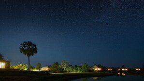 A night scene with a starry sky, a palm tree, and several lit buildings by a body of water. - The Beige (Angkor Thum)