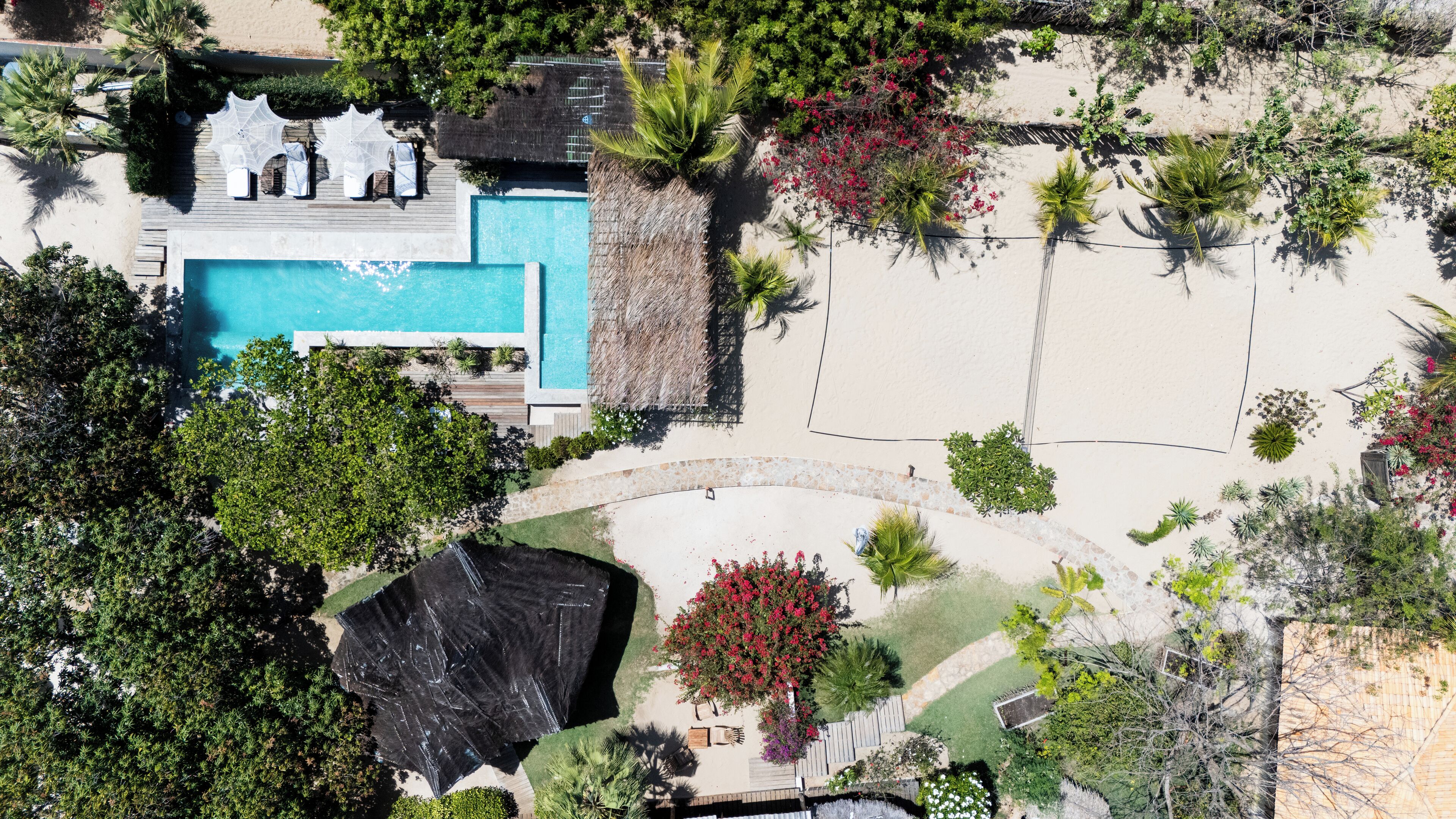An aerial view of a resort with a swimming pool, lounge chairs, and tropical landscaping.