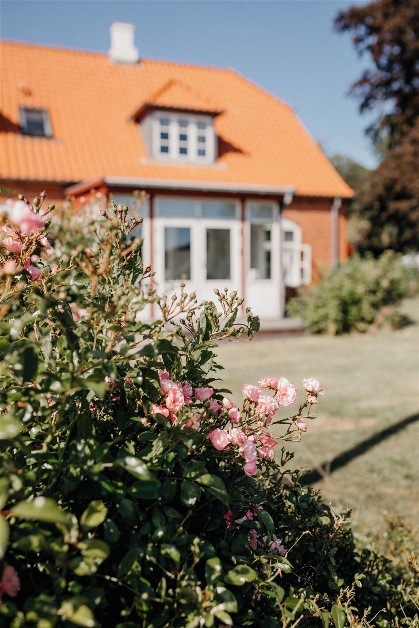 Ein Haus mit rotem Dach und weißen Wänden, umgeben von Grünpflanzen und Blumen.