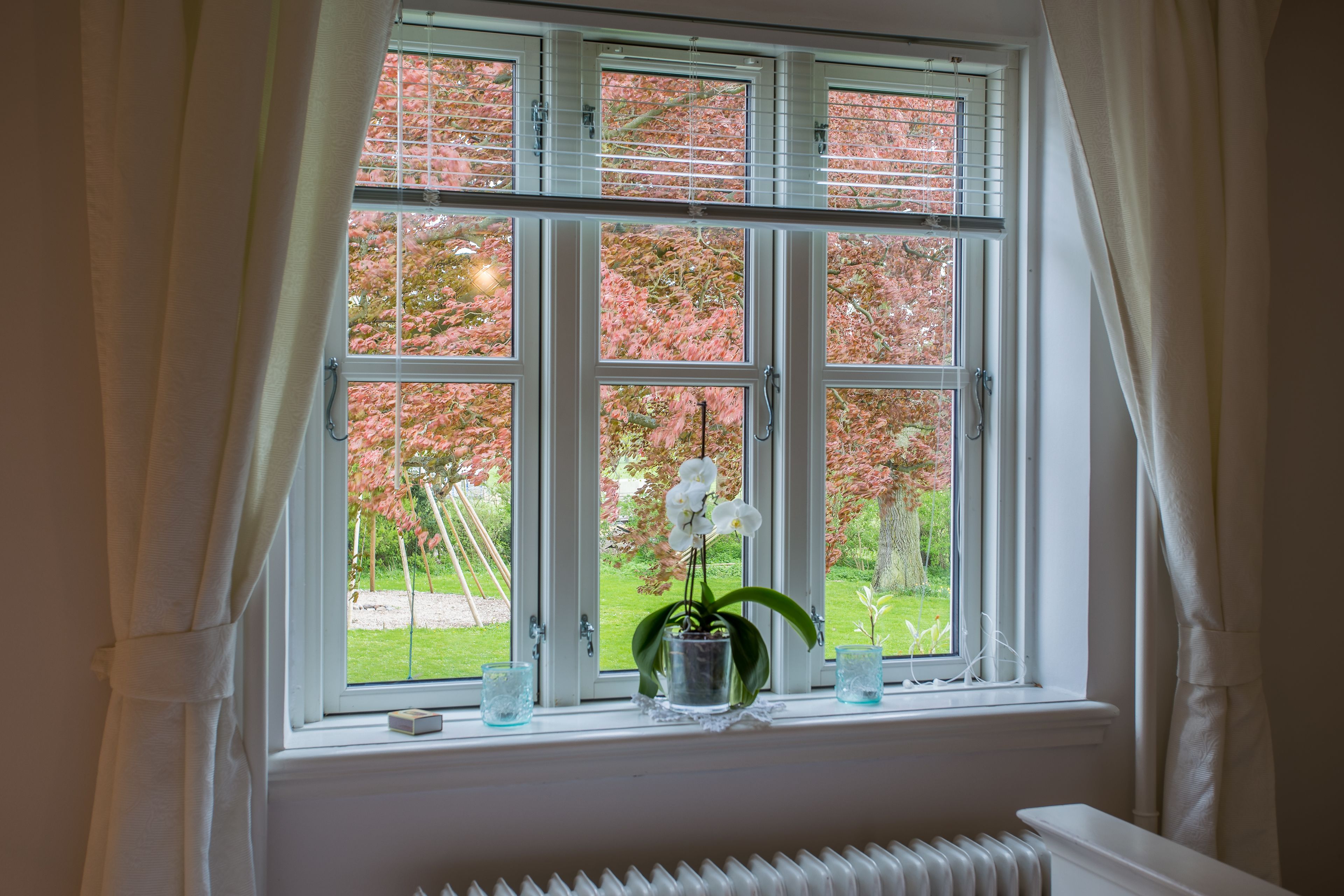 classic room, 1 queen bed | view from room