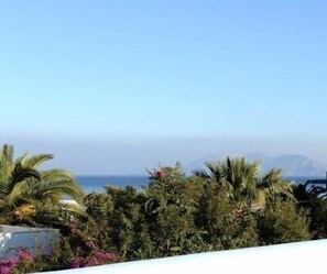 Duplex, Terrace | View from room