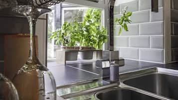 Full-sized fridge, microwave, oven, stovetop