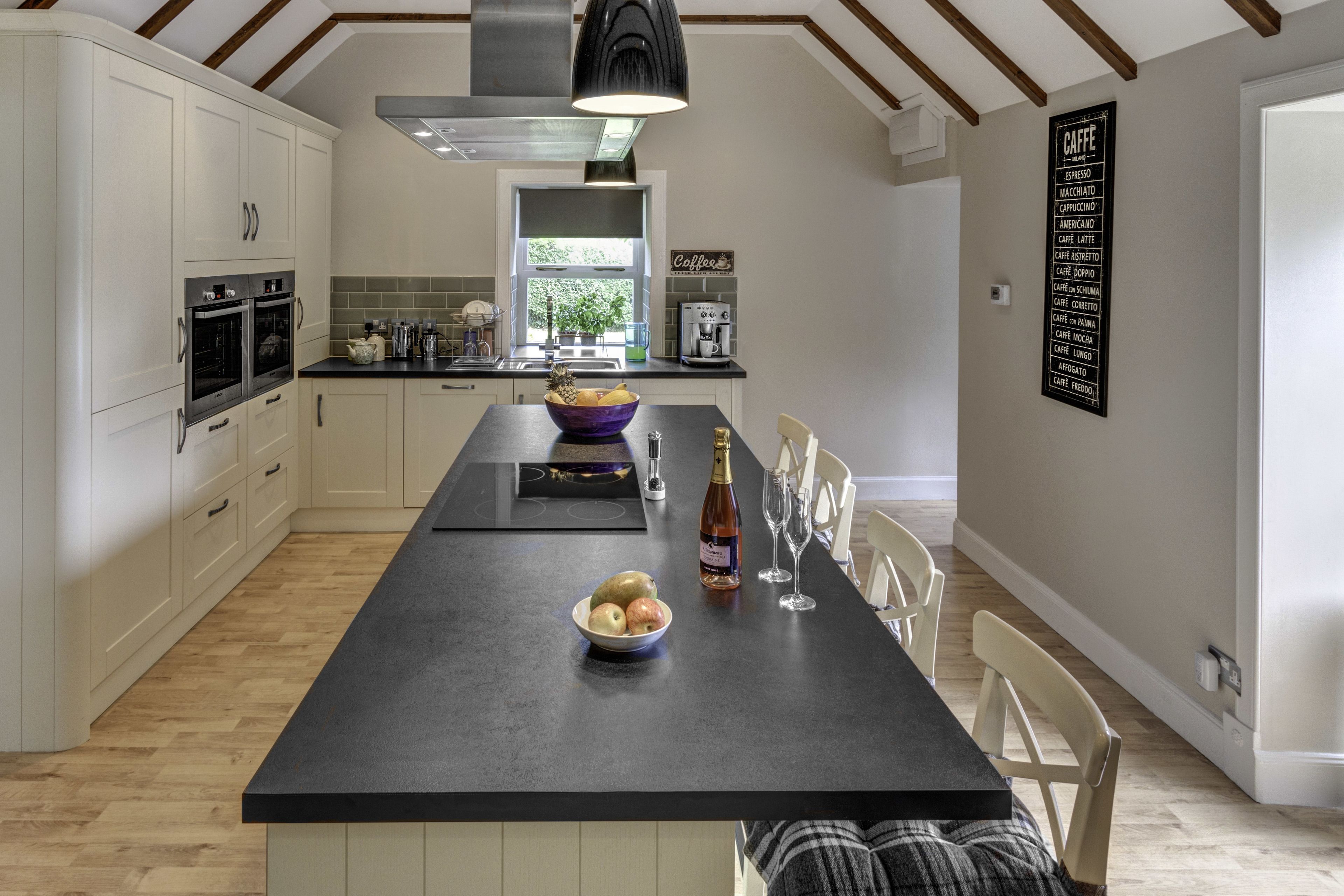 Full-sized fridge, microwave, oven, stovetop