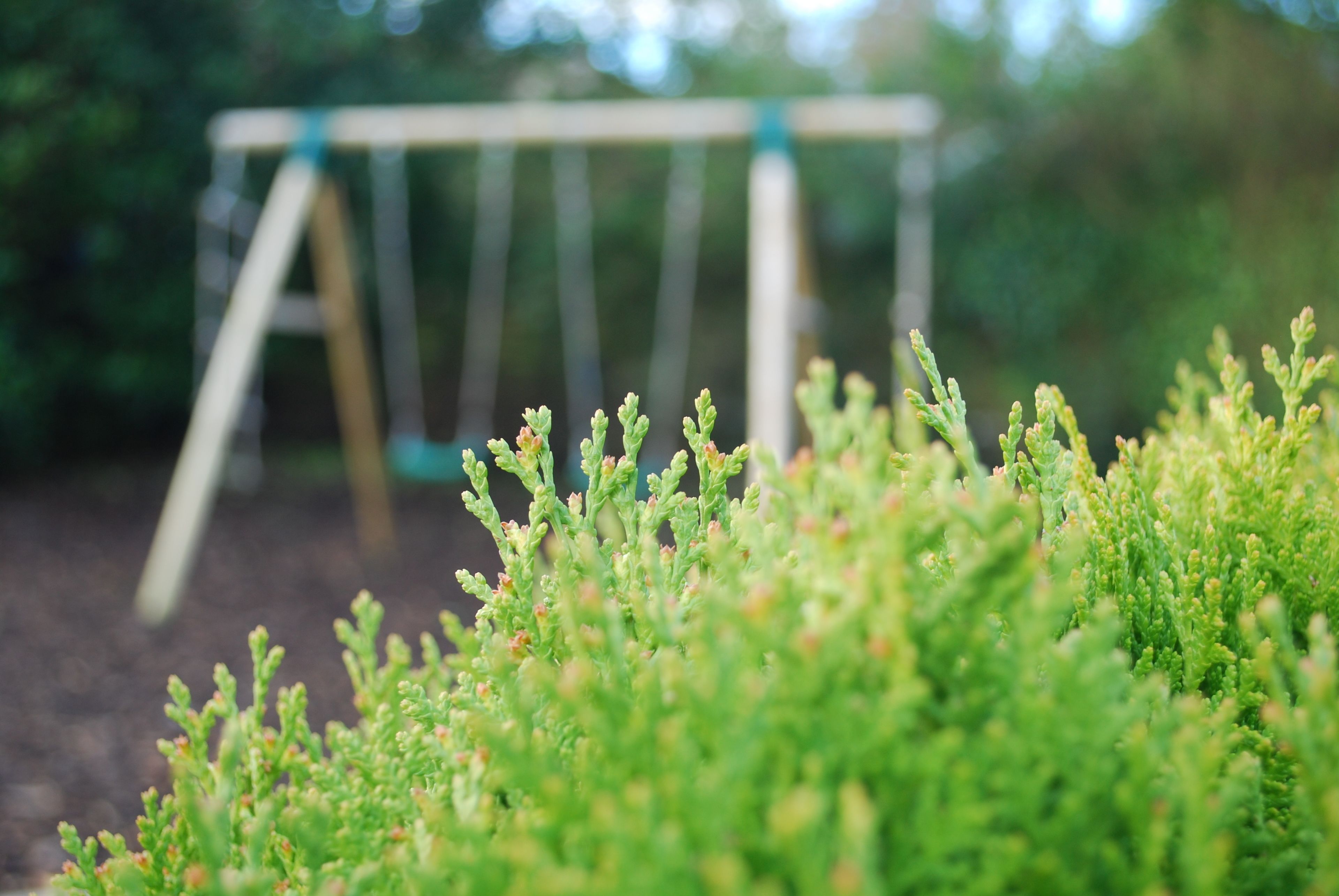 Área de juegos infantiles al aire libre
