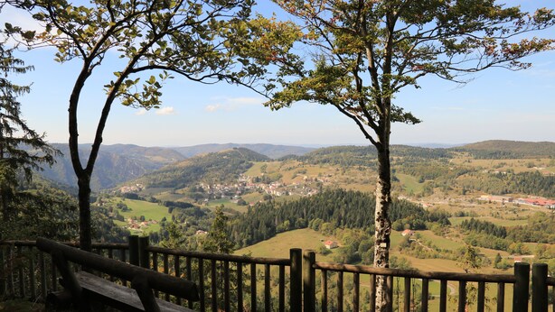 A wooden bench overlooking a valley with a wooden fence.