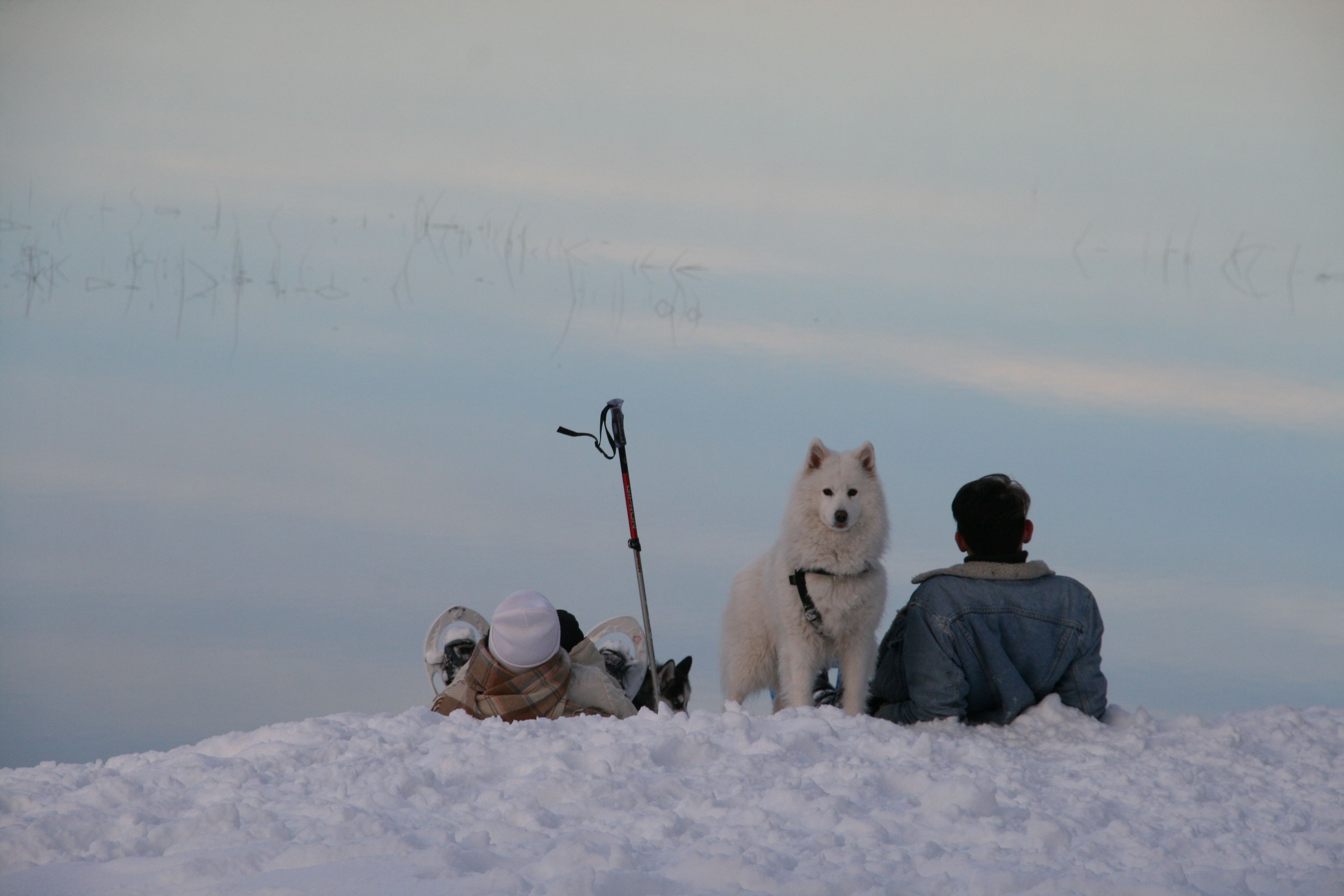 A person and a dog sitting on a snowy hill with a clear sky in the background.