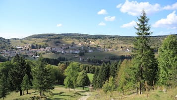 Une vue panoramique d’une ville nichée dans une vallée, avec une église imposante et une végétation luxuriante tout autour.