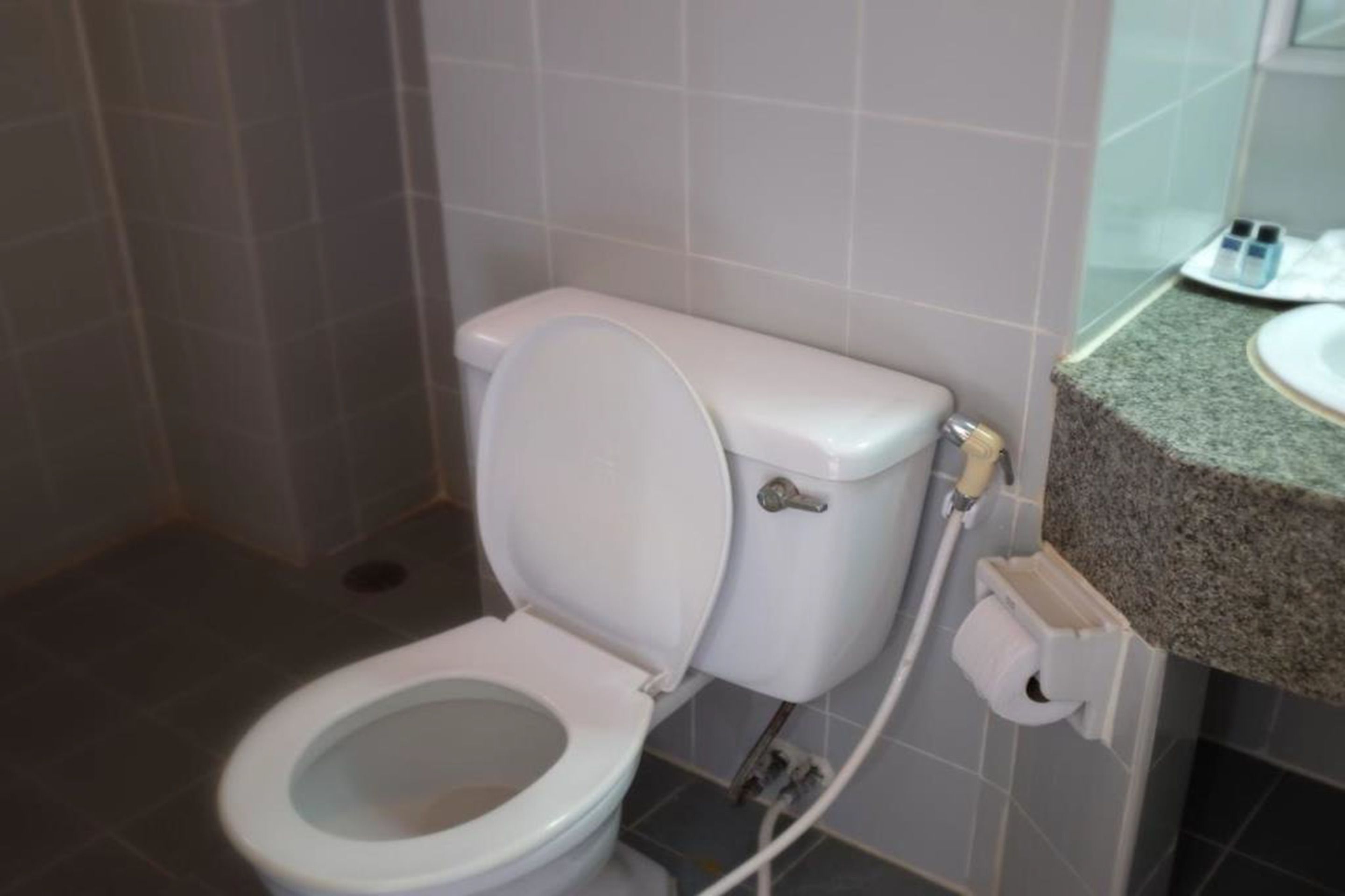A white toilet with a tank and a bidet attachment, a toilet paper holder, and a granite countertop with a sink.
