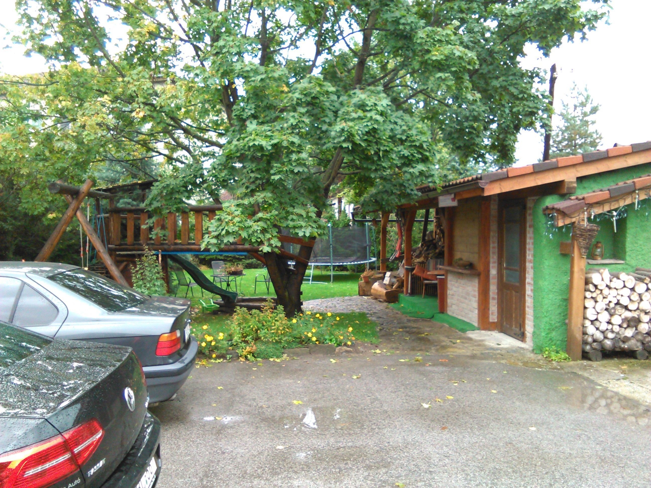 A car parked in a driveway with a tree and a small building with a green exterior.
