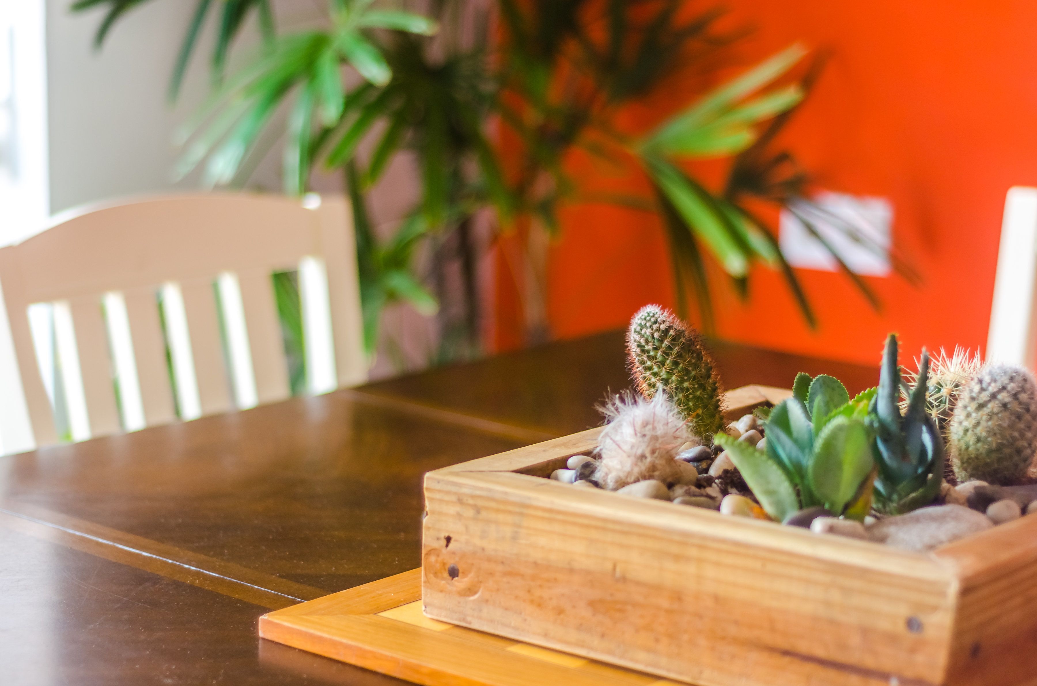 A wooden planter box with various cacti and succulents on a wooden table.