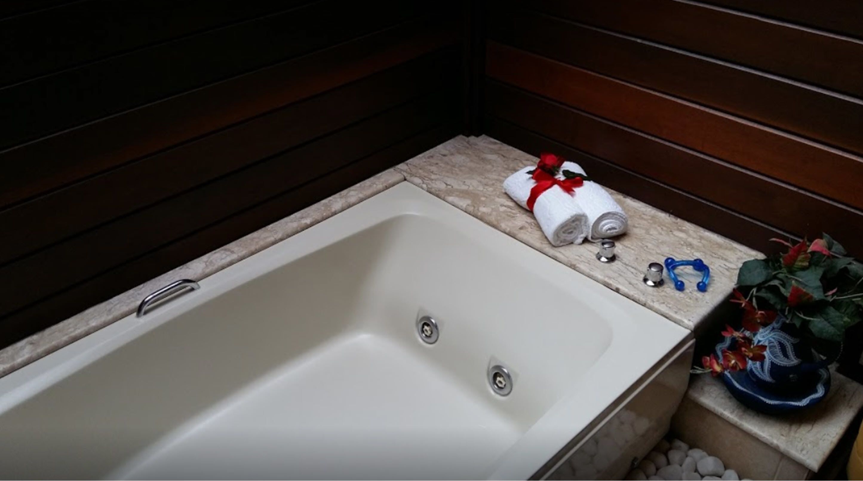 Foto - Bromélia Sabiá & Cia