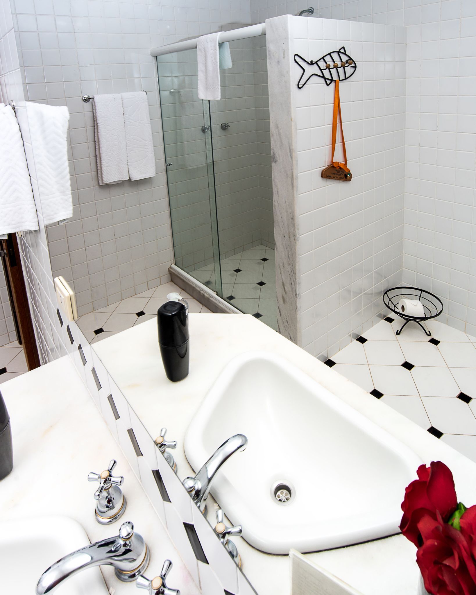 Foto - Bromélia Sabiá & Cia