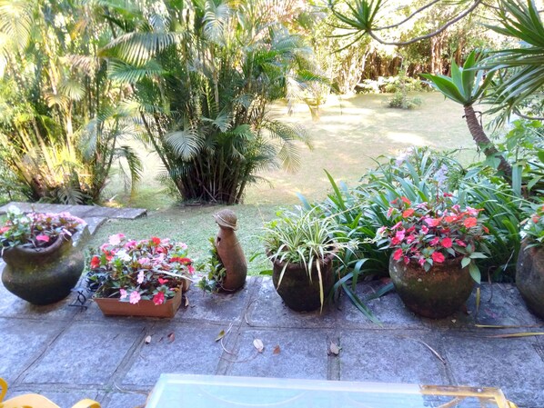 A garden with various potted plants and a small statue.