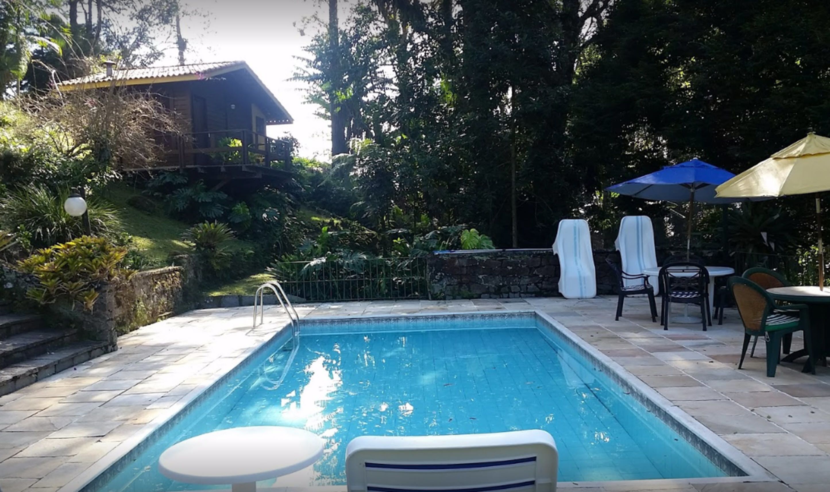 Foto - Bromélia Sabiá & Cia