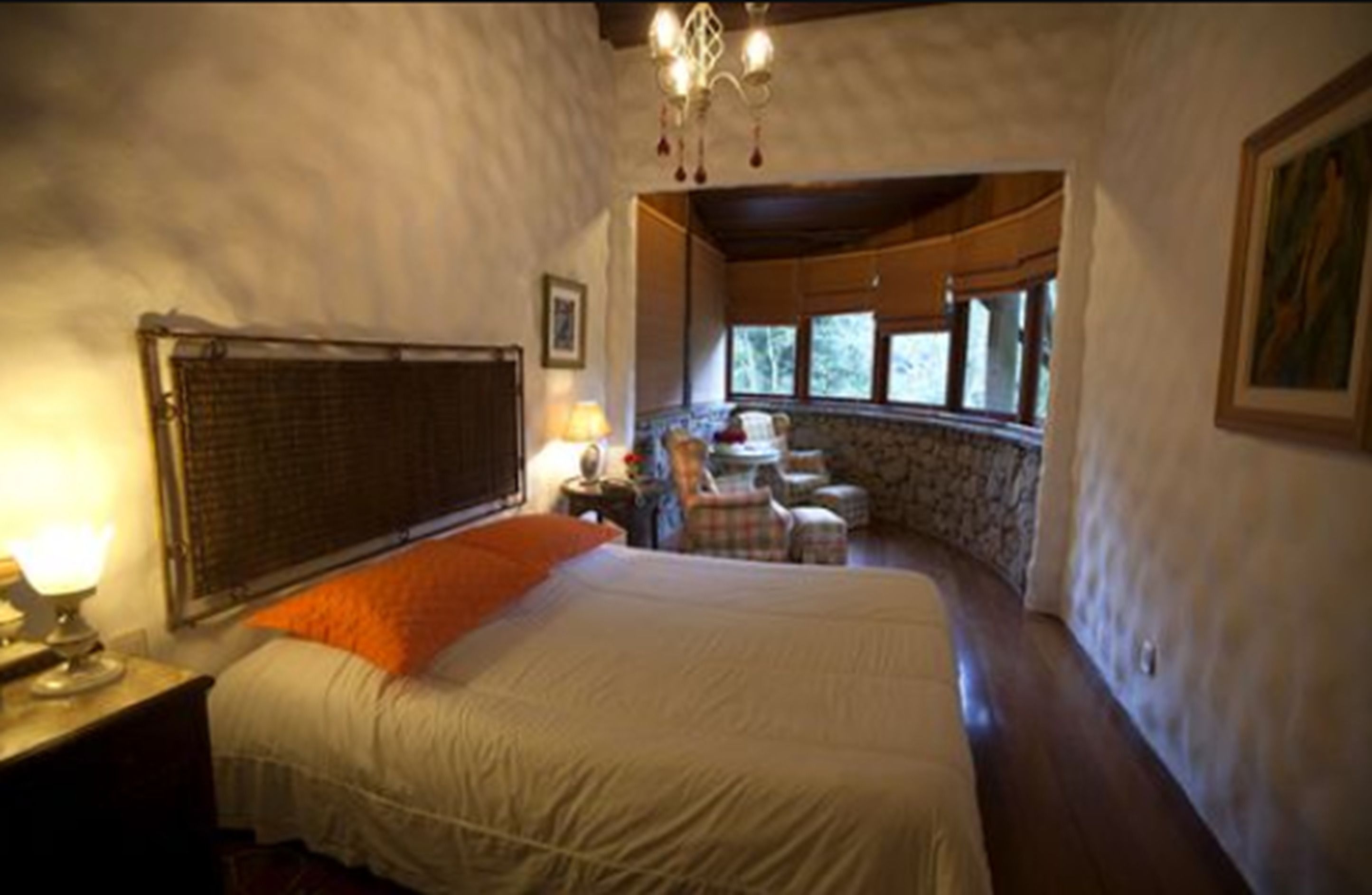 Foto - Bromélia Sabiá & Cia