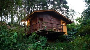 A wooden cabin elevated on stilts surrounded by dense vegetation. - Bromelia Sabia & Cia (Teresópolis)