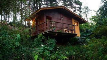 Chalé, banheira de hidromassagem (Orquidea) | Vista do quarto