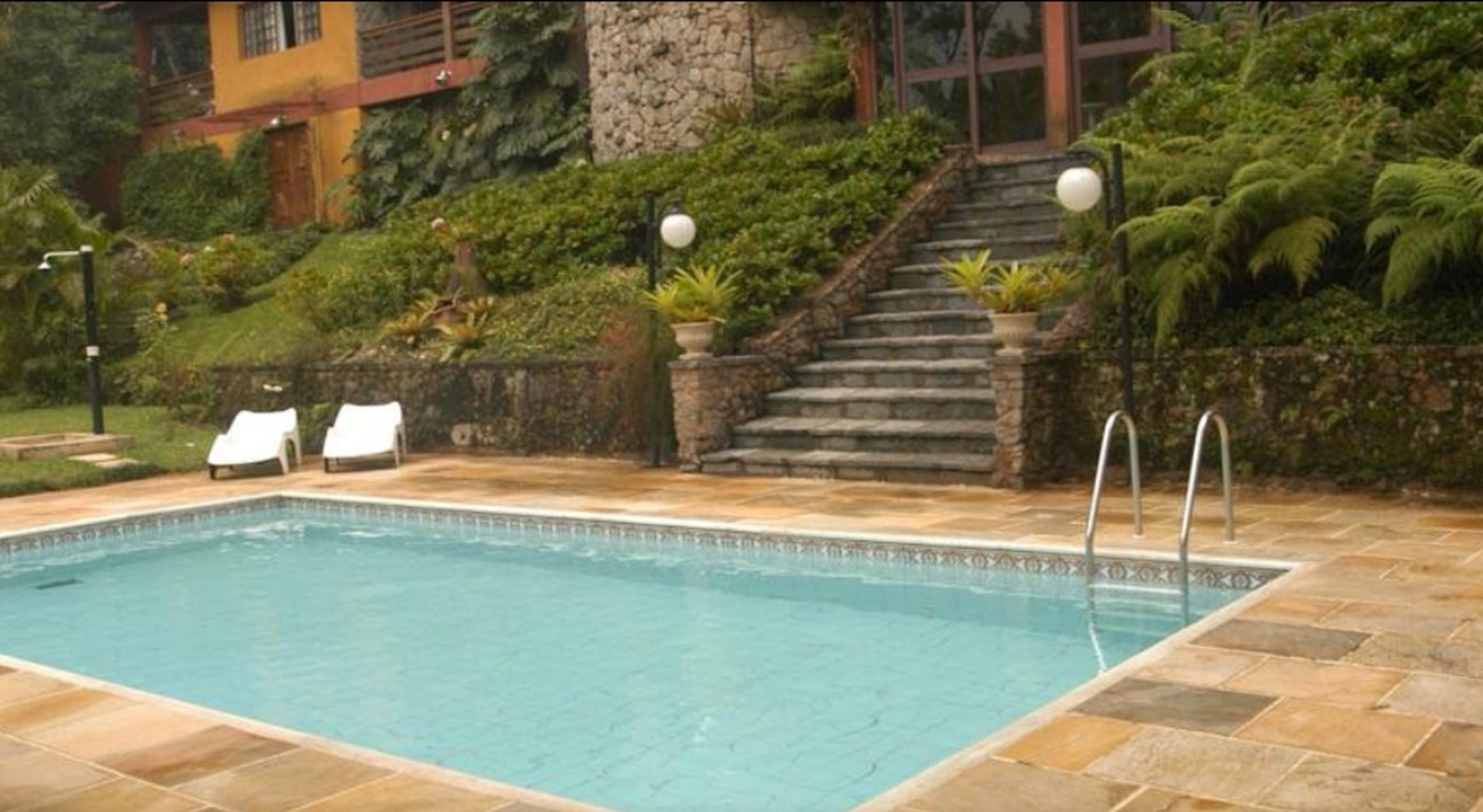 Foto - Bromélia Sabiá & Cia