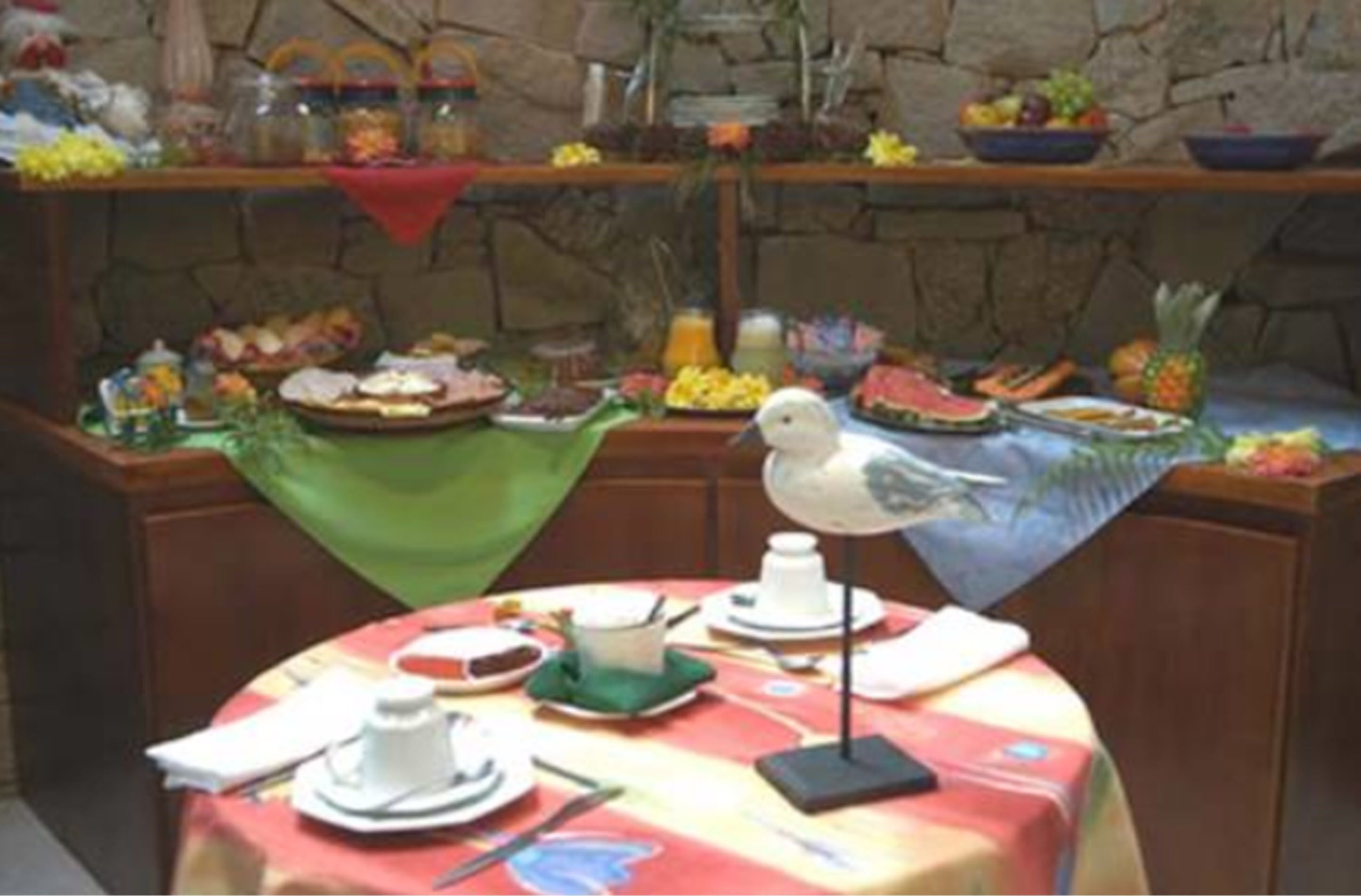 Foto - Bromélia Sabiá & Cia