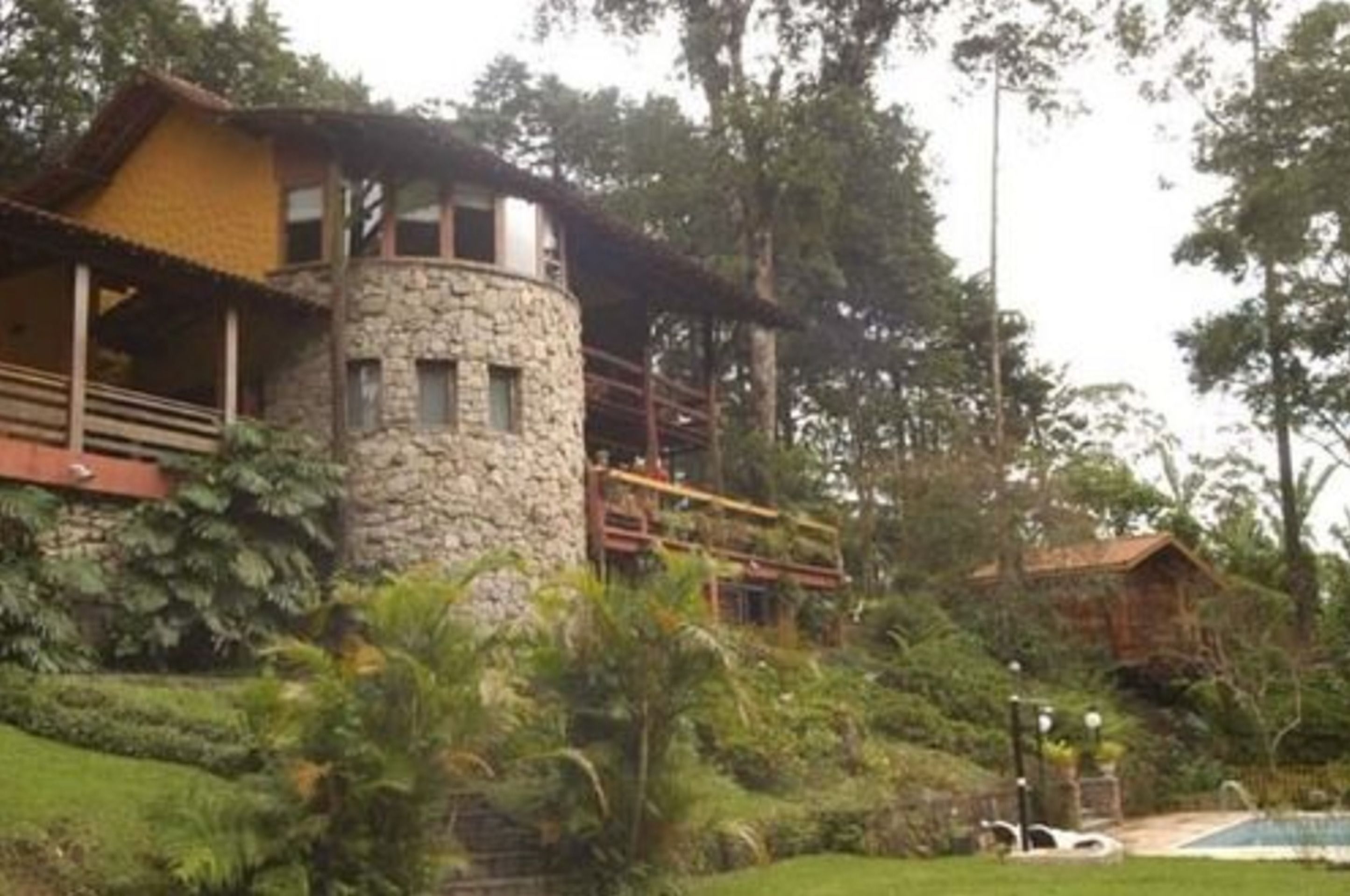 Foto - Bromélia Sabiá & Cia