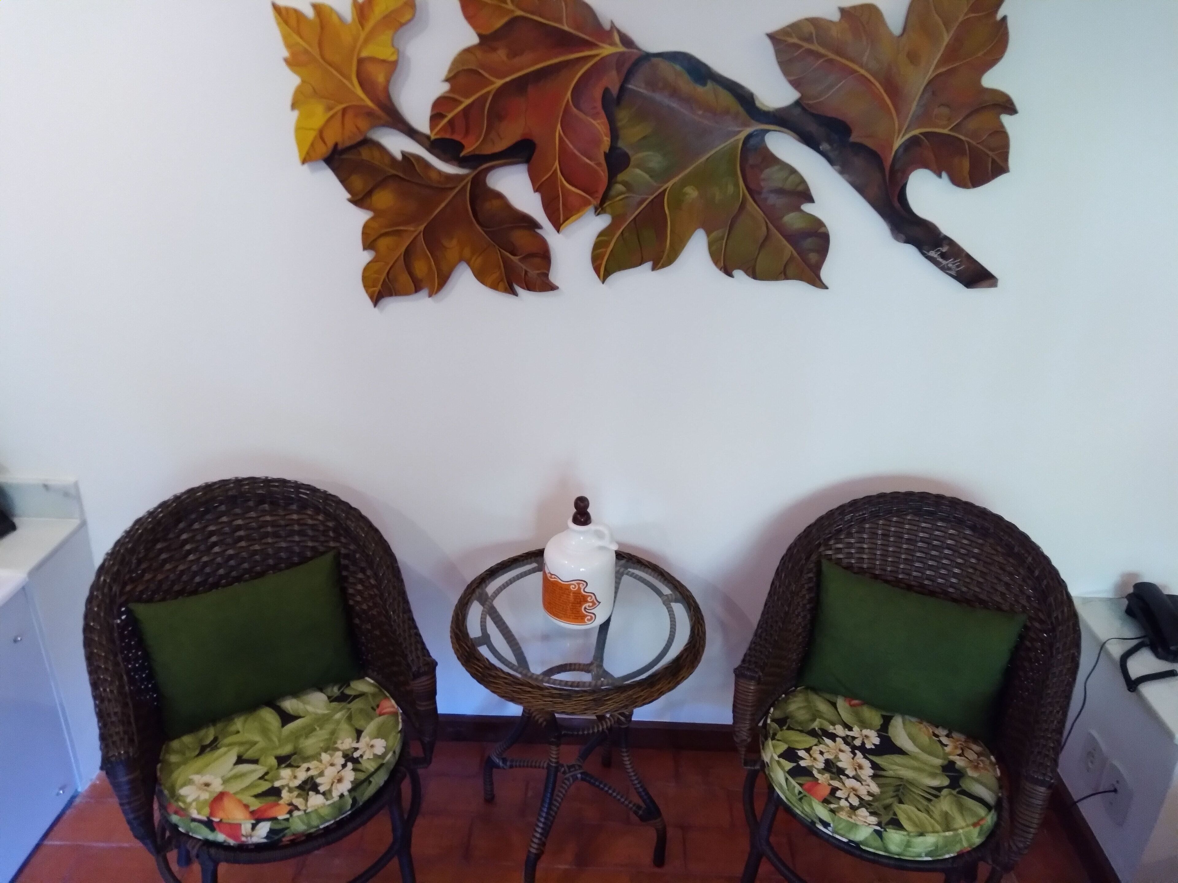 Foto - Bromélia Sabiá & Cia