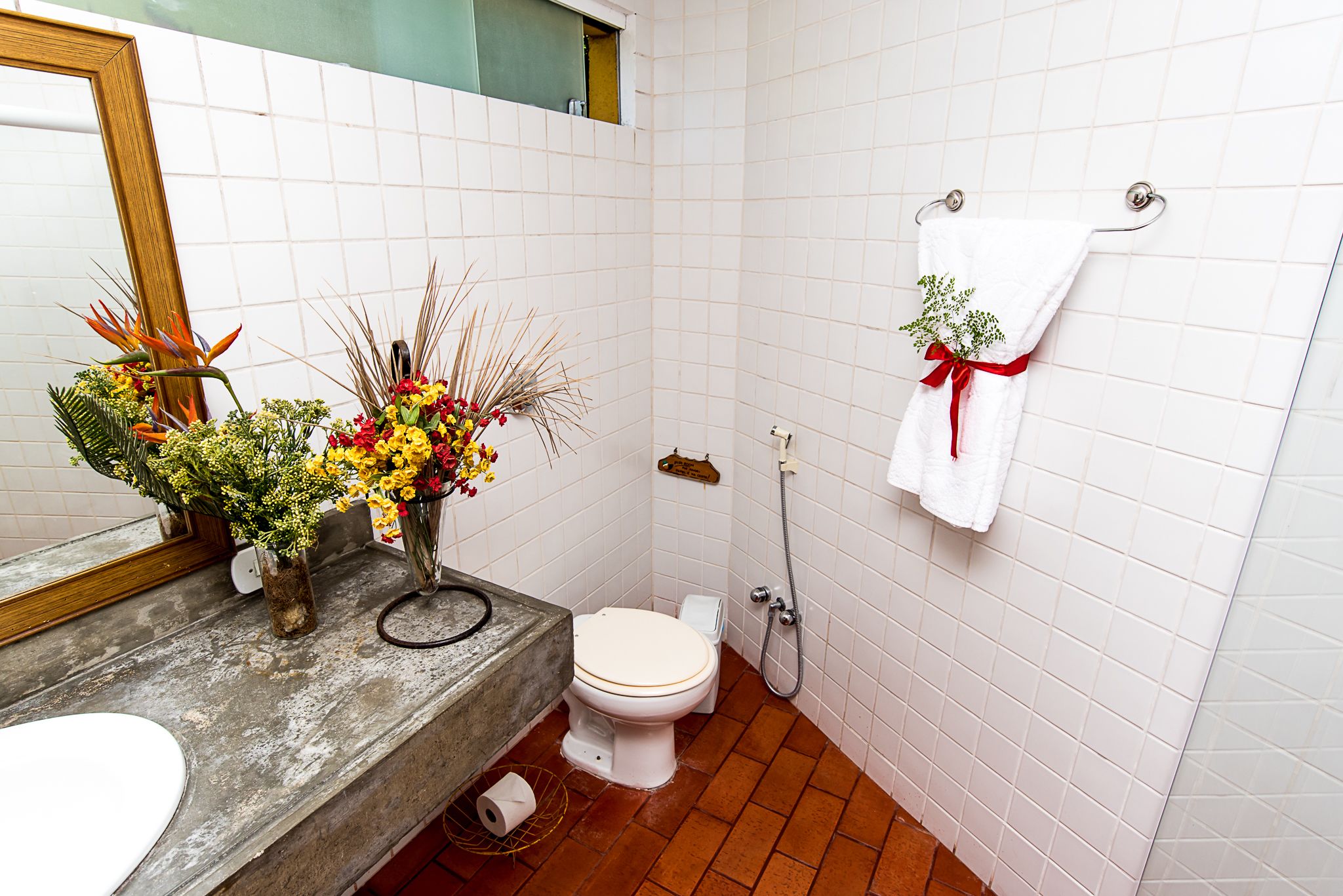 Foto - Bromélia Sabiá & Cia