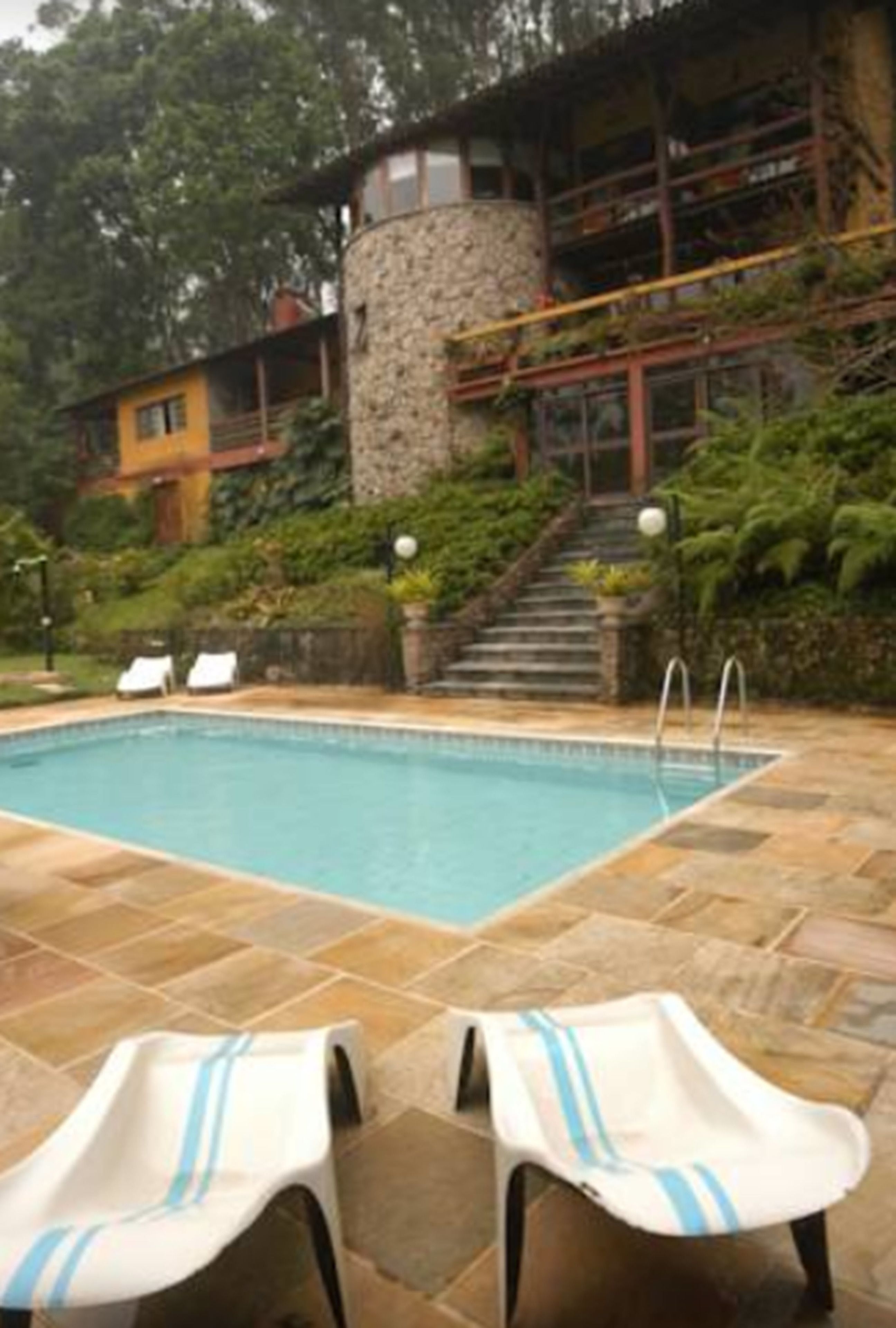 Foto - Bromélia Sabiá & Cia