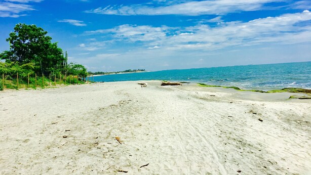 A beach with clear blue water, sandy shore, and a tree line in the background.