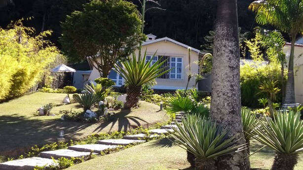 Un jardín bien cuidado con diversas plantas y un camino que lleva a un edificio de fachada blanca y grandes ventanales.