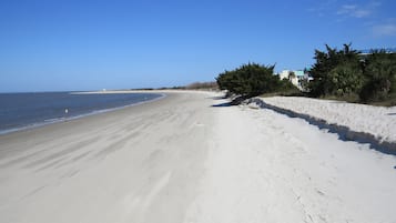 On the beach, sun loungers, beach umbrellas, beach towels