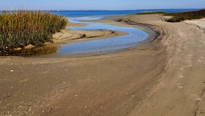 Une plage de sable avec un canal d’eau, de la végétation et un ciel dégagé.