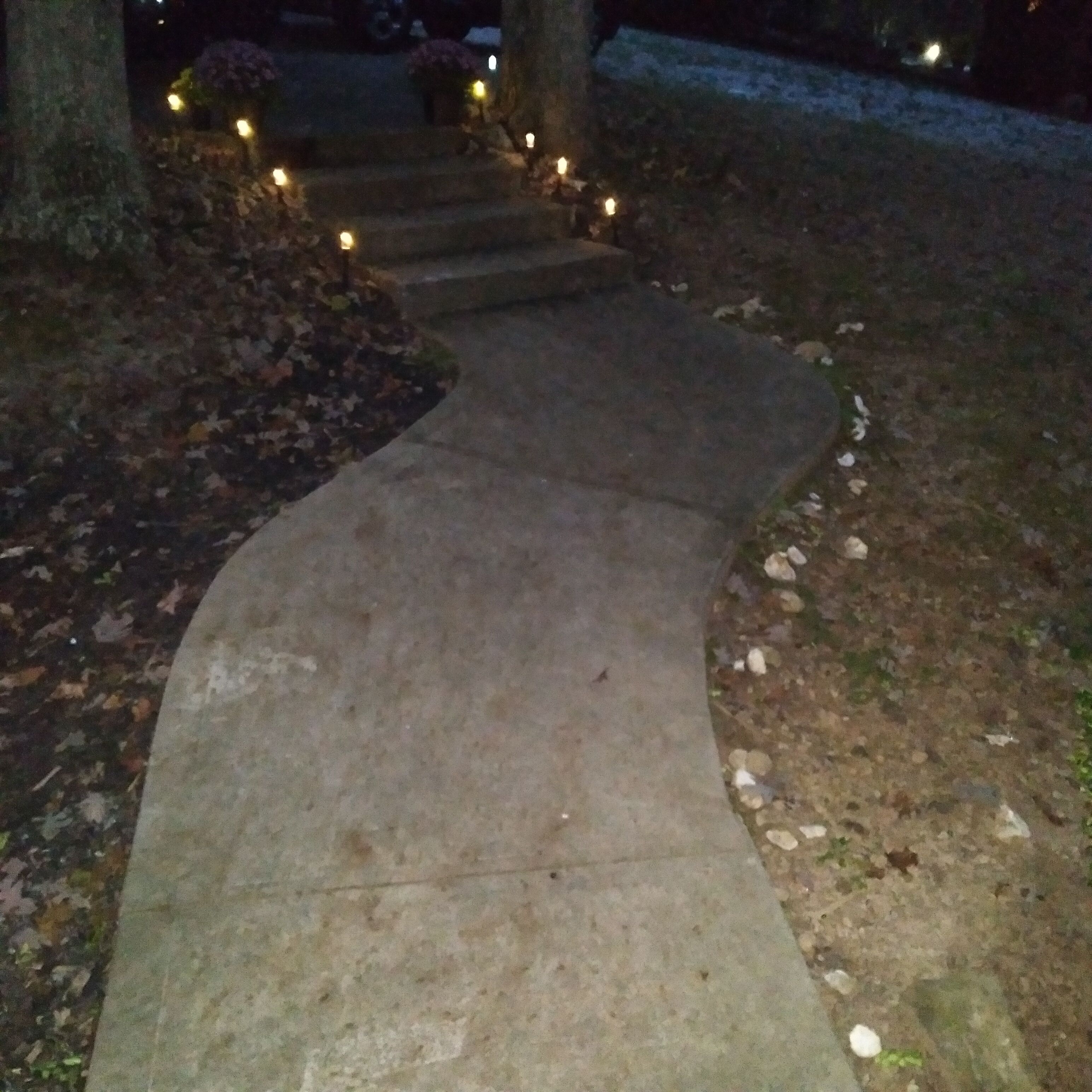 A concrete pathway leading to a house entrance, surrounded by trees and lit by small lights.