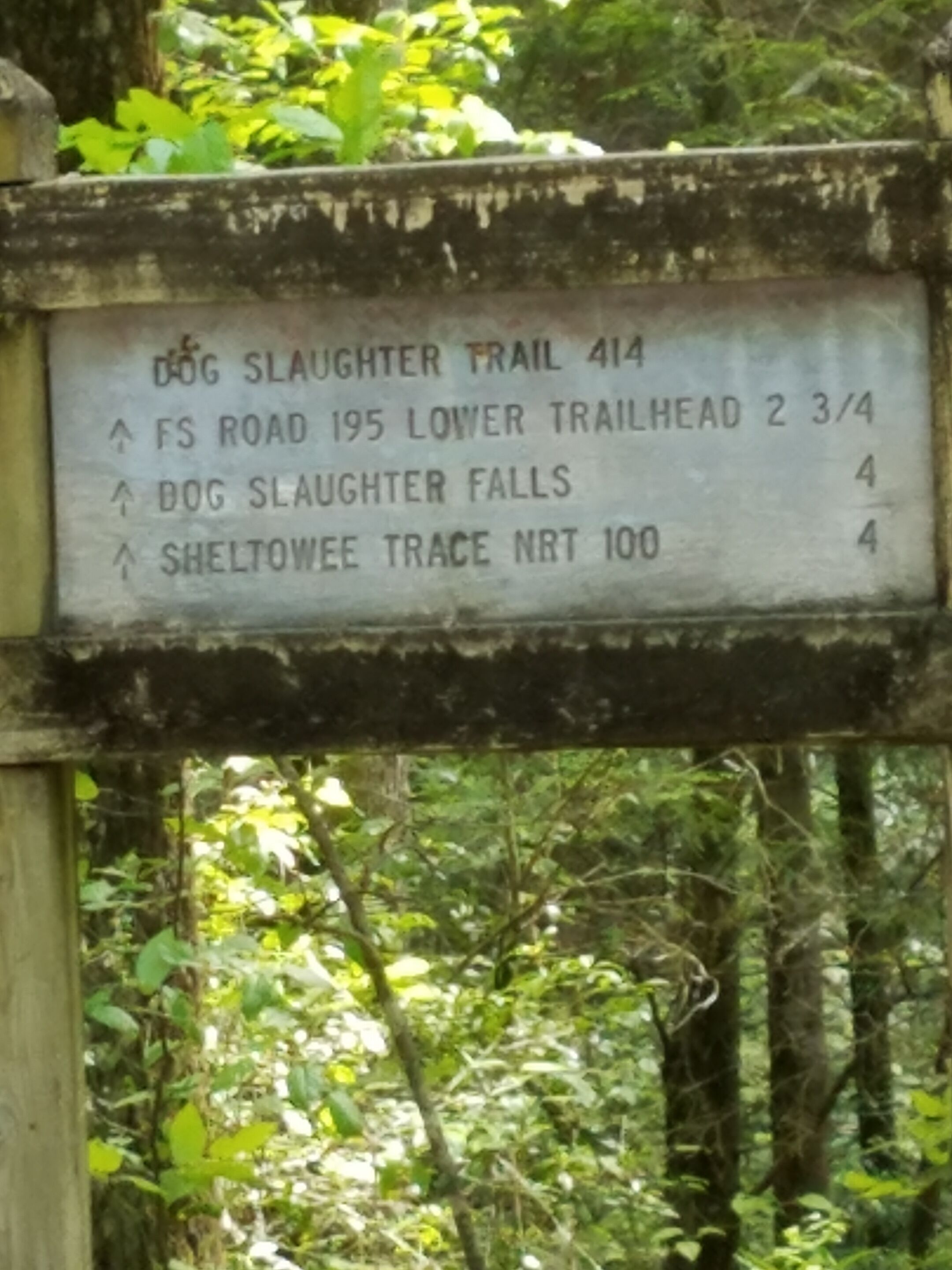 Señal de sendero con indicaciones hacia Dog Slaughter Trail, FS Road 195, entrada inferior del sendero Dog Slaughter Falls y Sheltoowe Trace NRT.