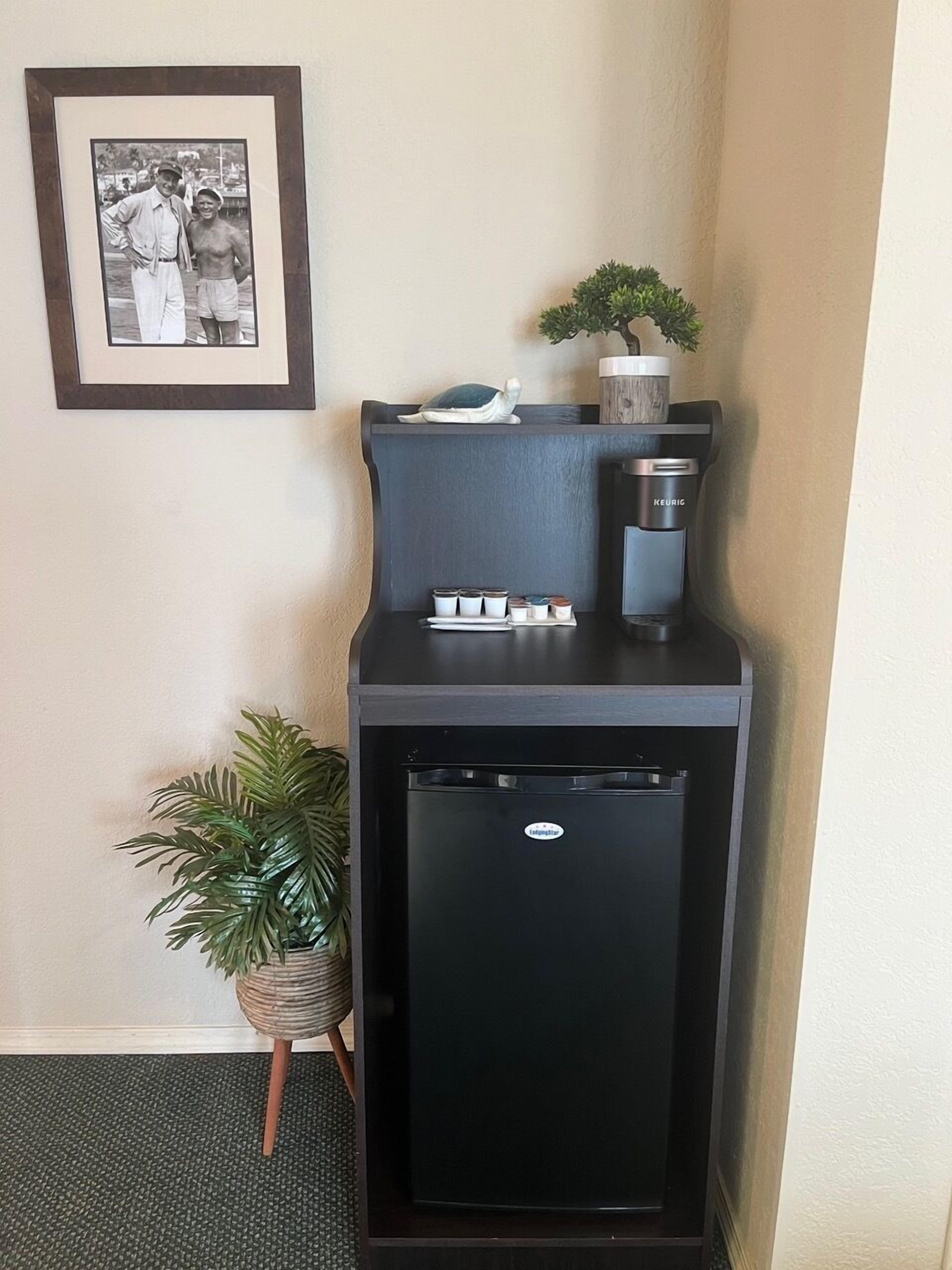 A kitchenette with a coffee maker, a small refrigerator, and a potted plant.