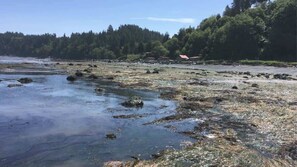 Miscellaneous - Ocean View Tent Site T12 (Port Angeles)